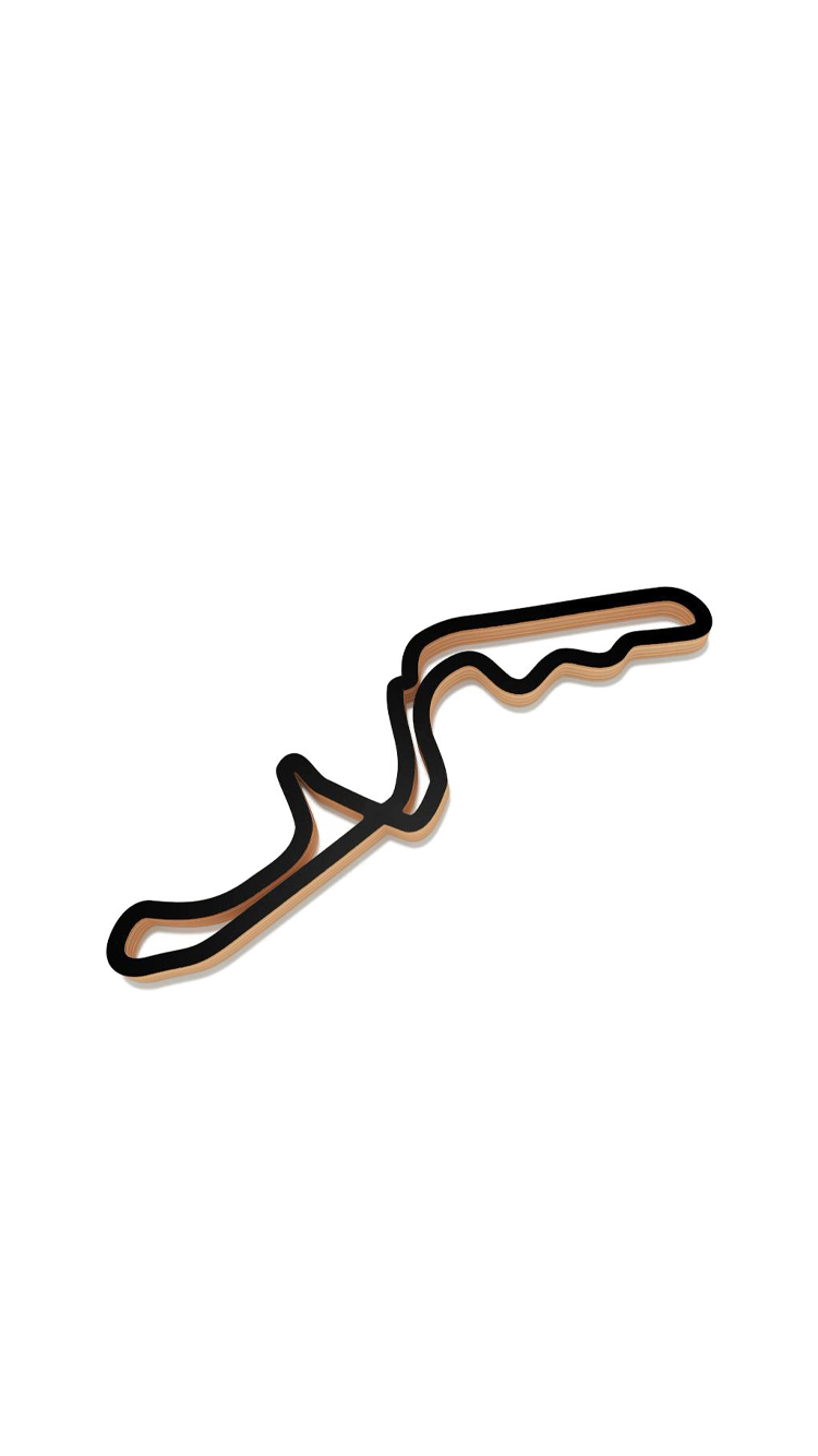Track 19.png
