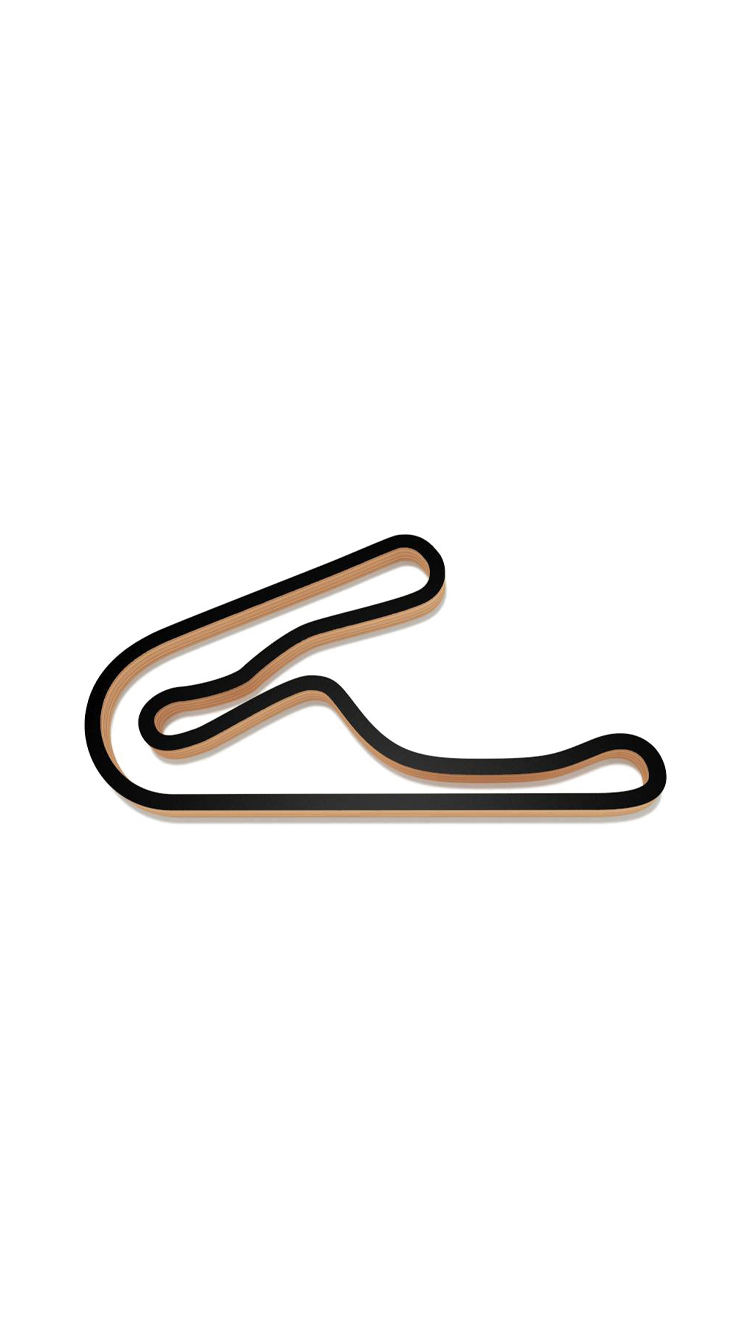 Track 21.png