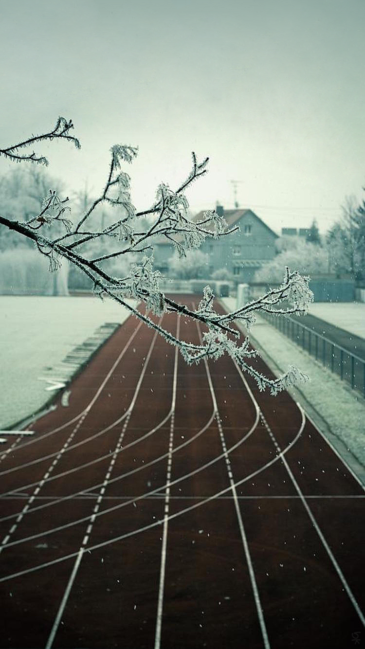 Track.png