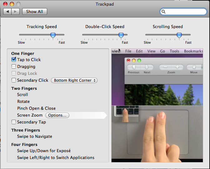 trackpad_prefs.png