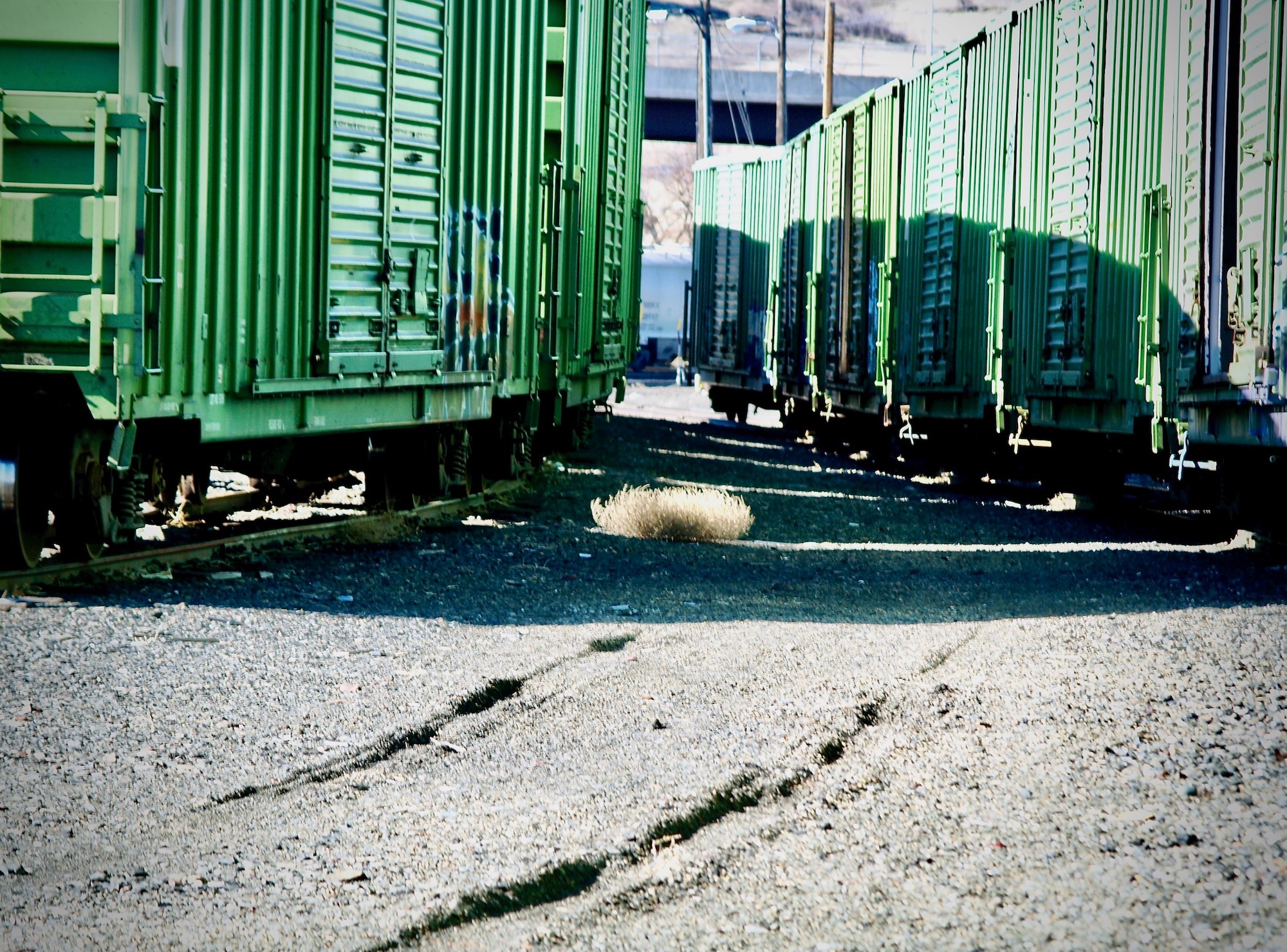 train - 1.jpeg
