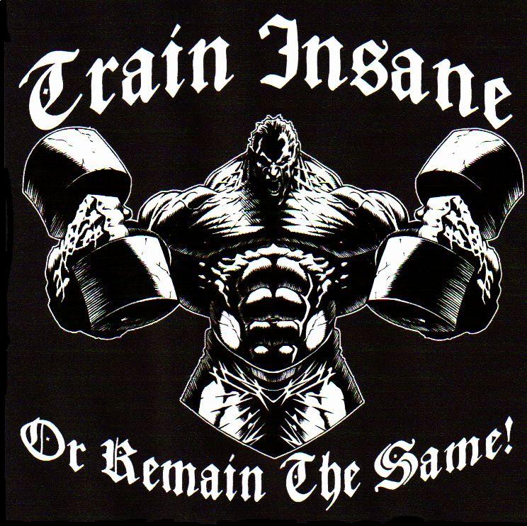 Train Insane-ws.jpg