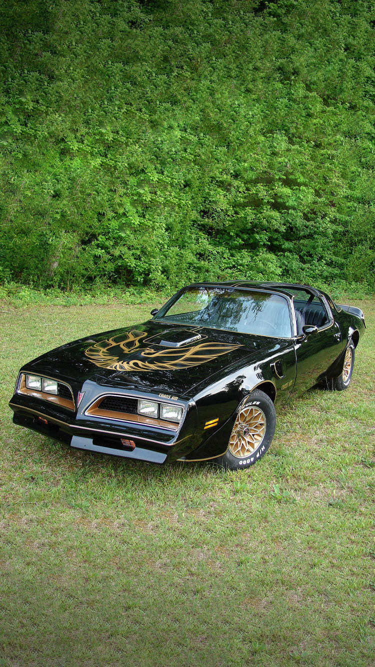 Trans Am.png