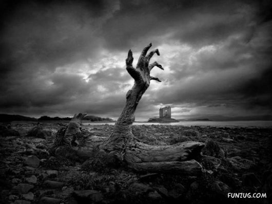 Tree Hand.jpg