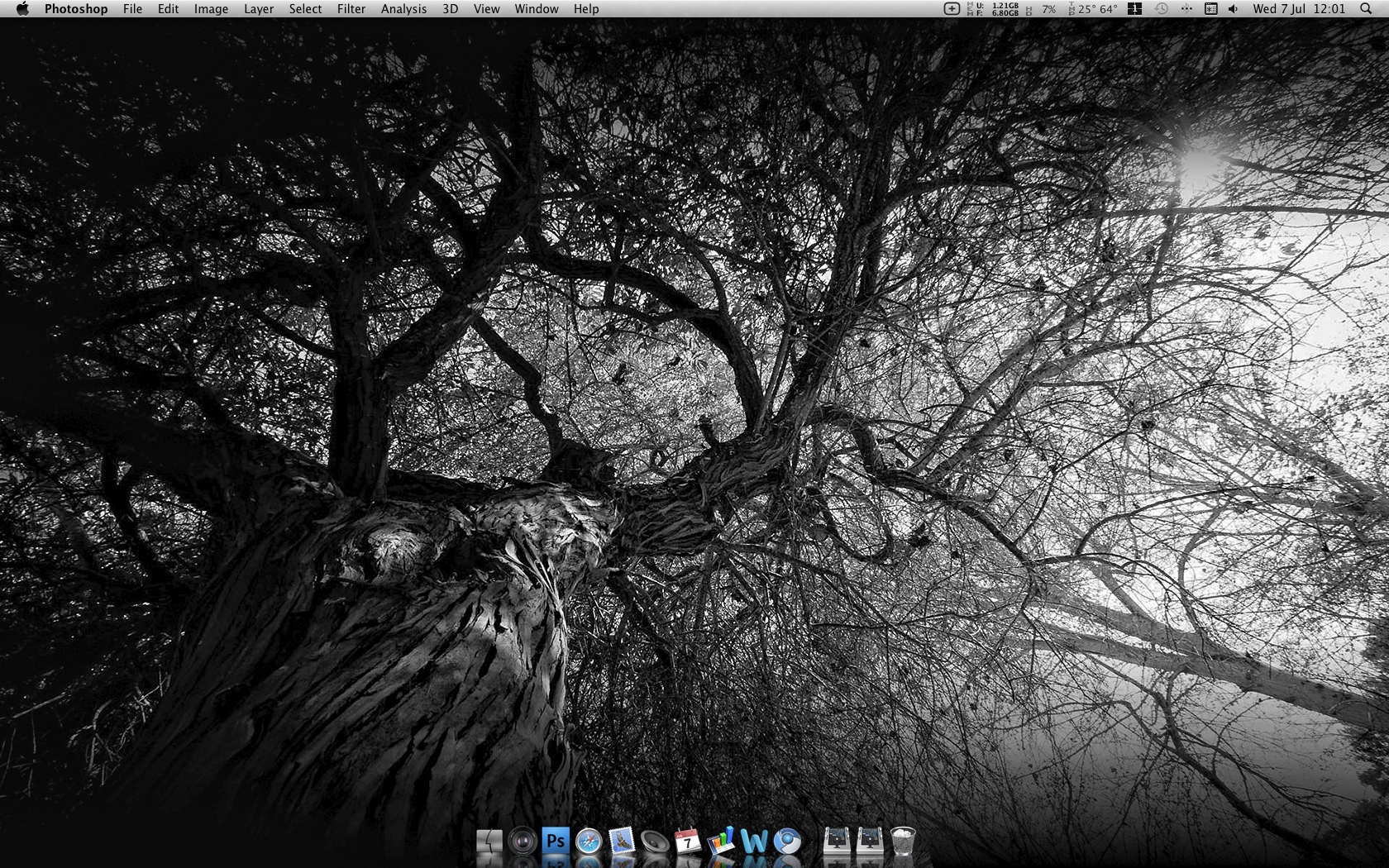 Treetop Desktop 07-07-2010.jpg