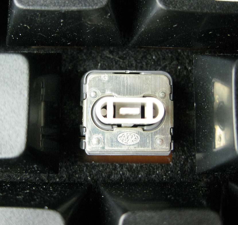 TRS ALPS.jpg