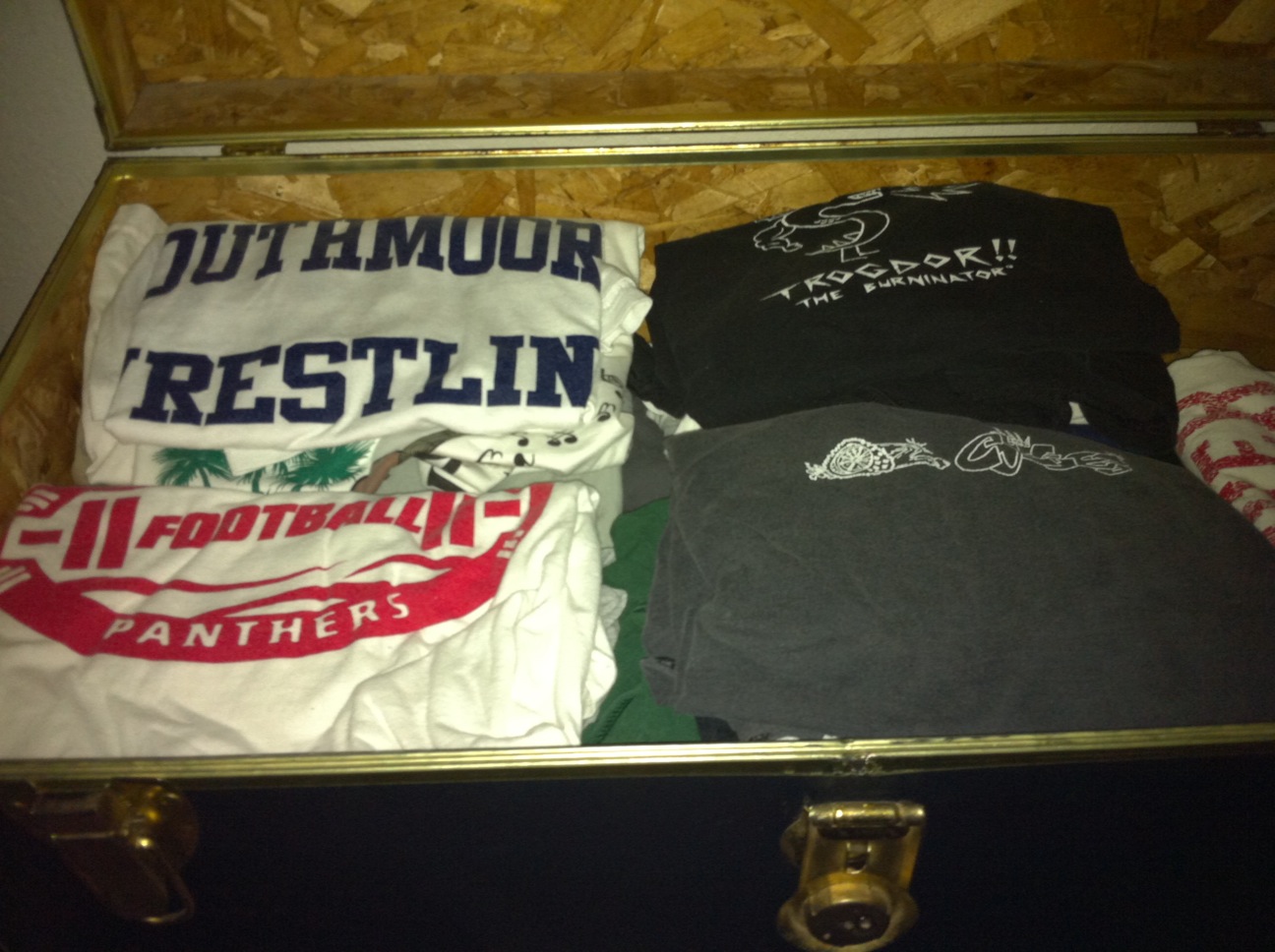 tshirt trunk dark closet.JPG