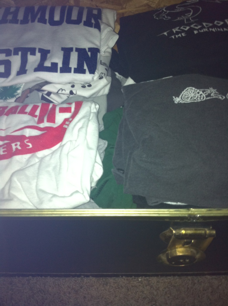 tshirt trunk dark closet matte.JPG
