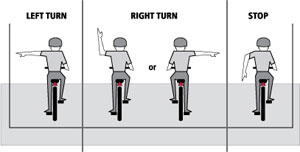 turnsignalillustration300.jpg