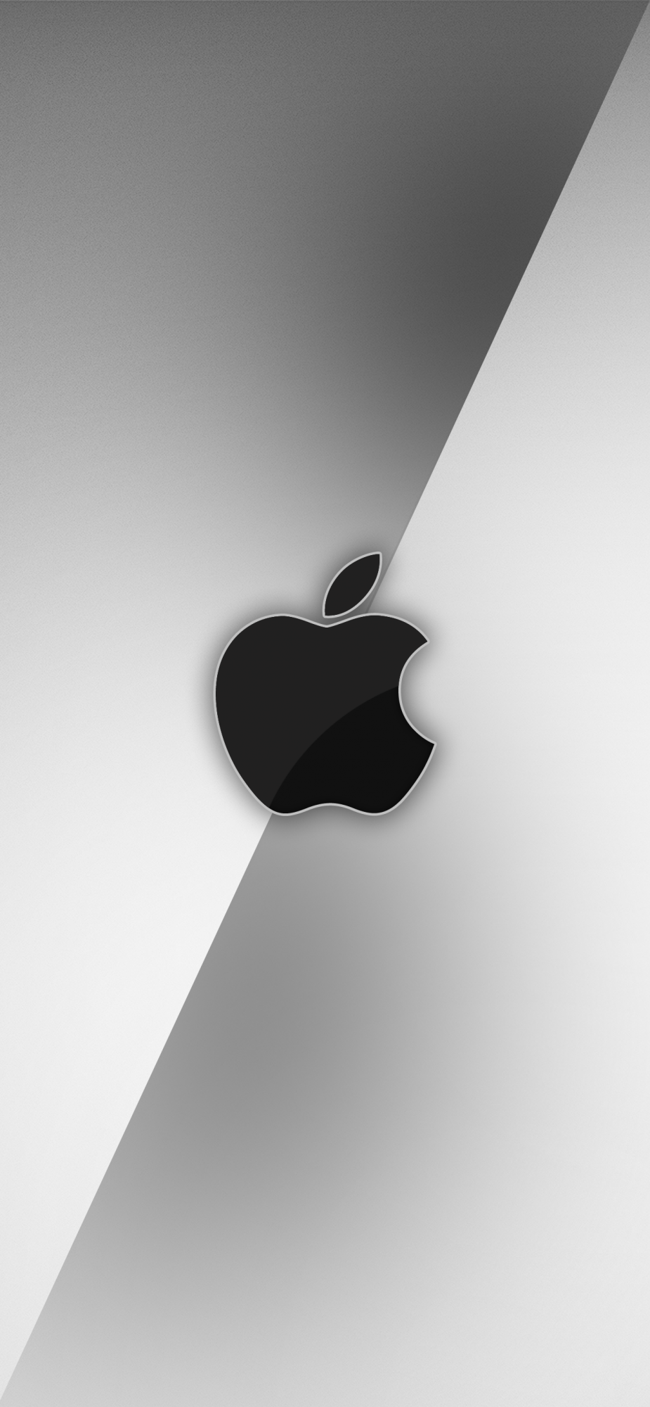 Two-Tone Silver.png