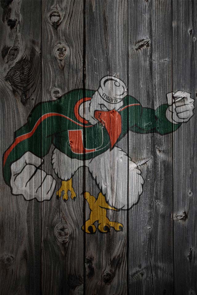 U Miami dark01.jpg