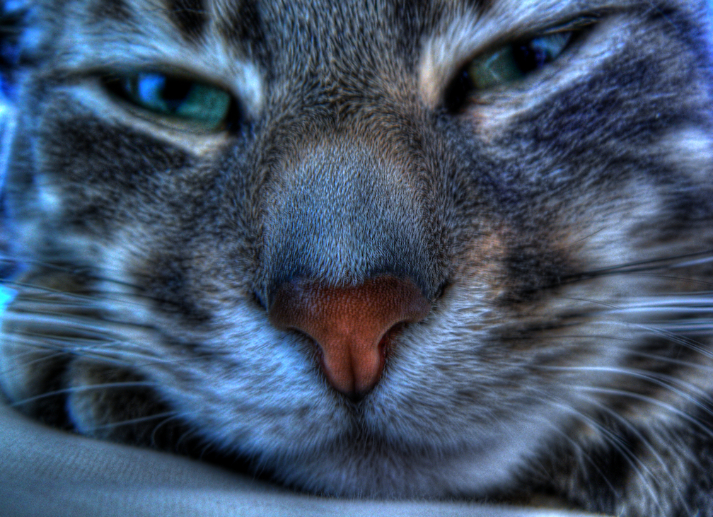unblurred-cold.jpg