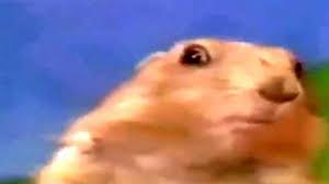 Unknown.jpeg