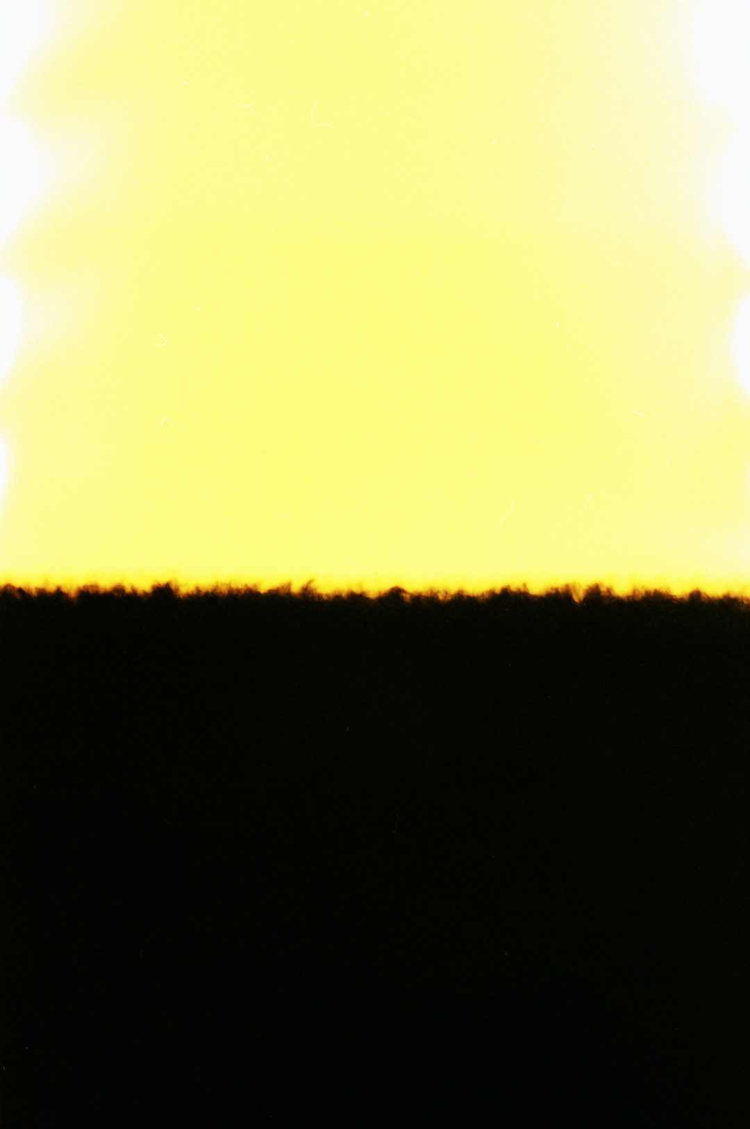 Untitled-2a.jpg