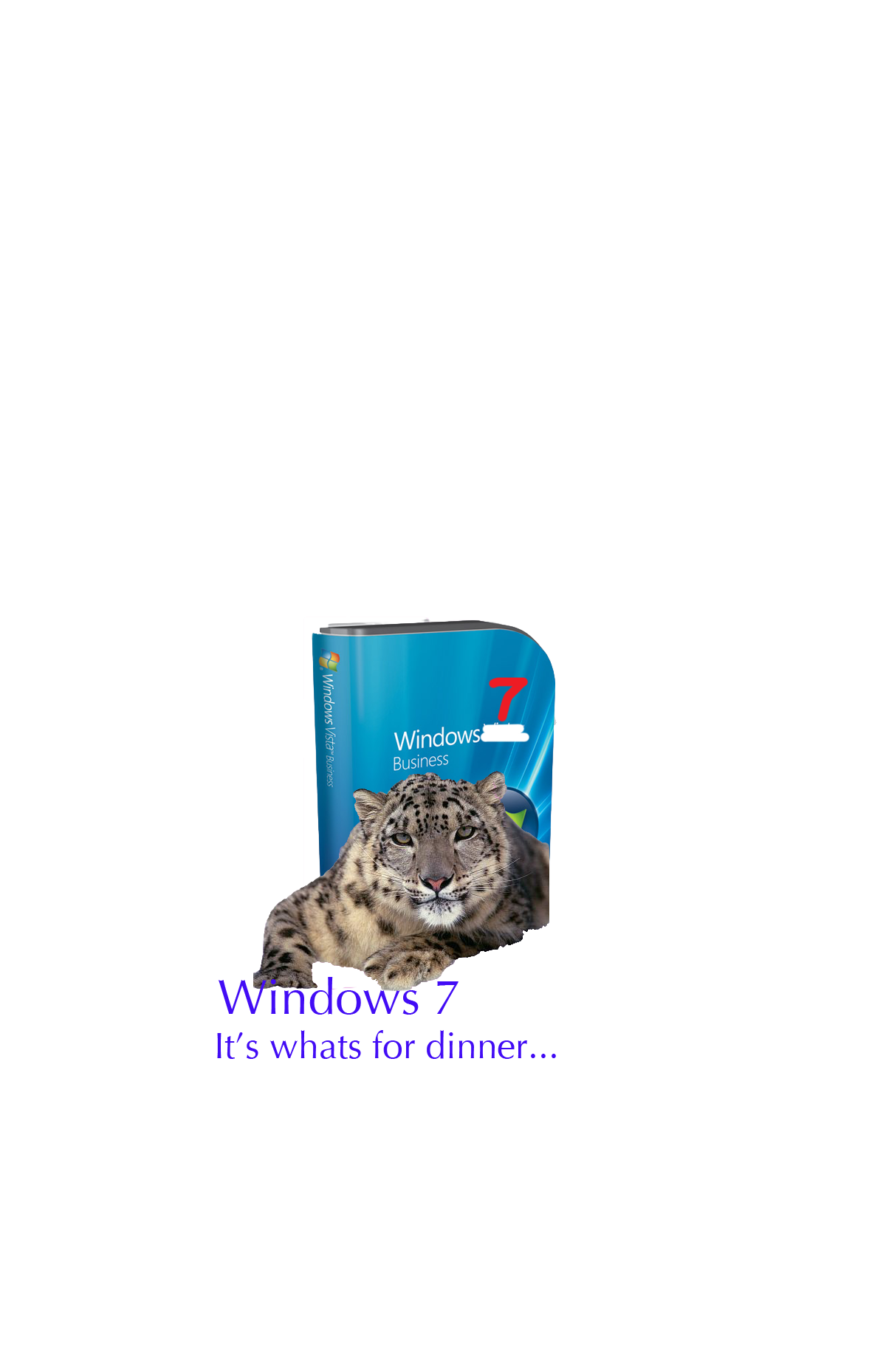 Untitlesssd-1.png