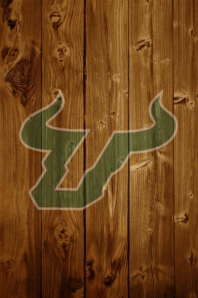 USF logo01.jpg