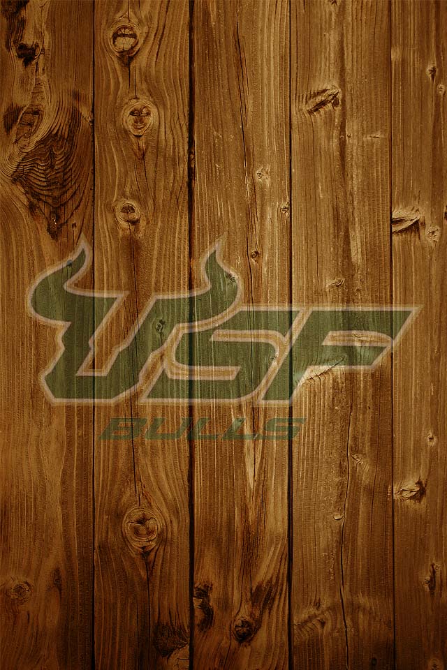 USF logo02.jpg