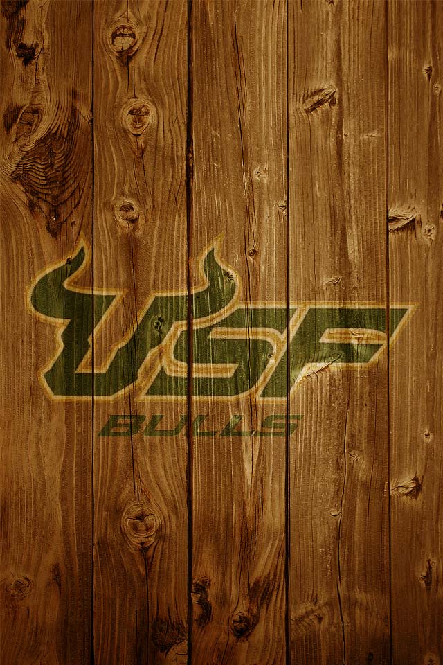USF02 Soft Light.jpg