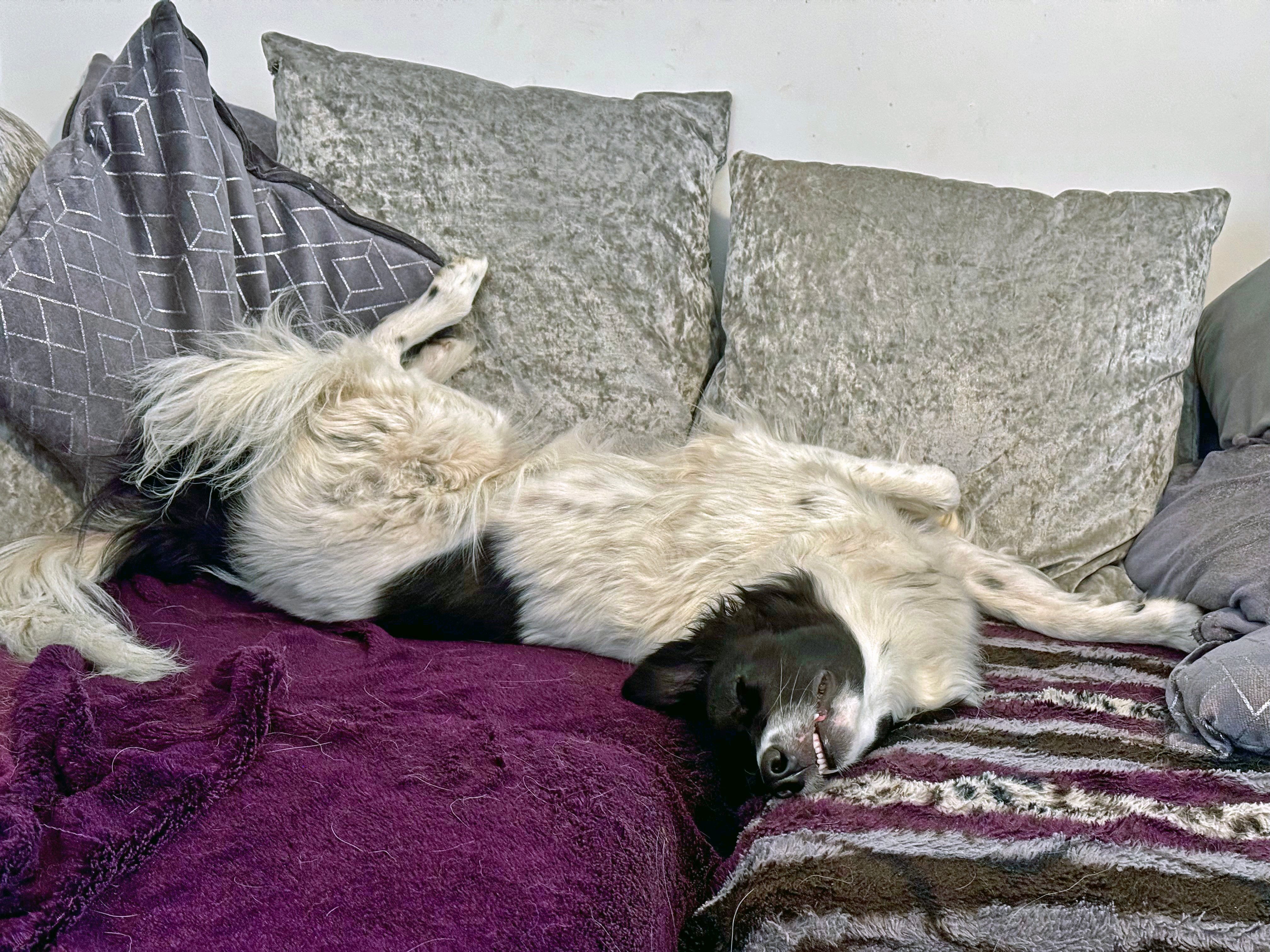 Utter Bliss.jpg