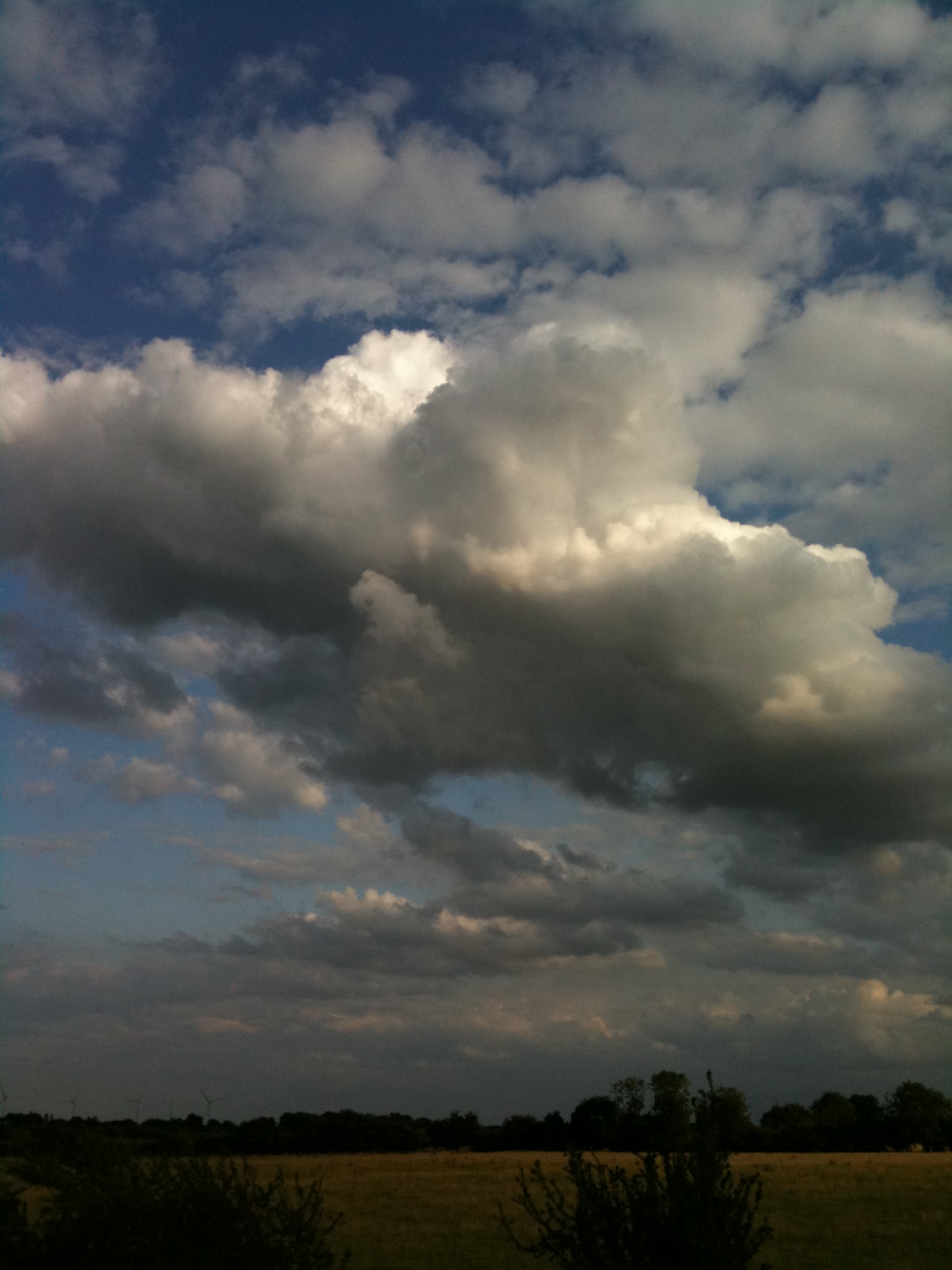 vertcloud.jpg