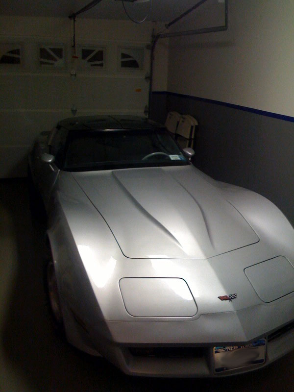 vette.jpg