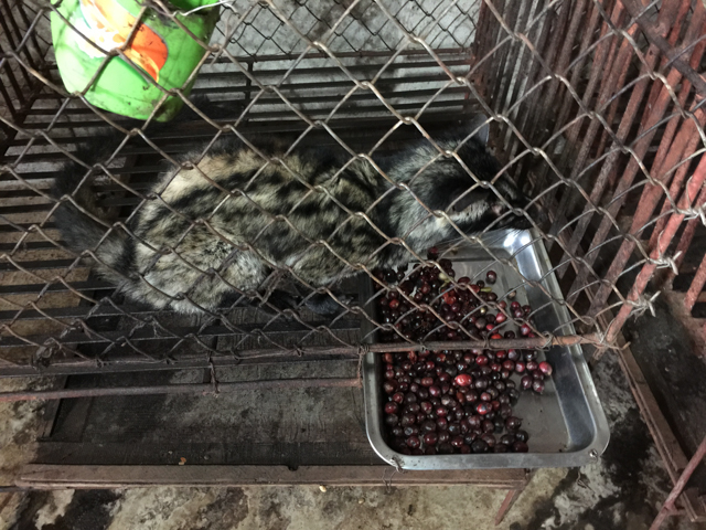 Vietnam 2015.01.08-02.01 IP_IMG_3031.jpg