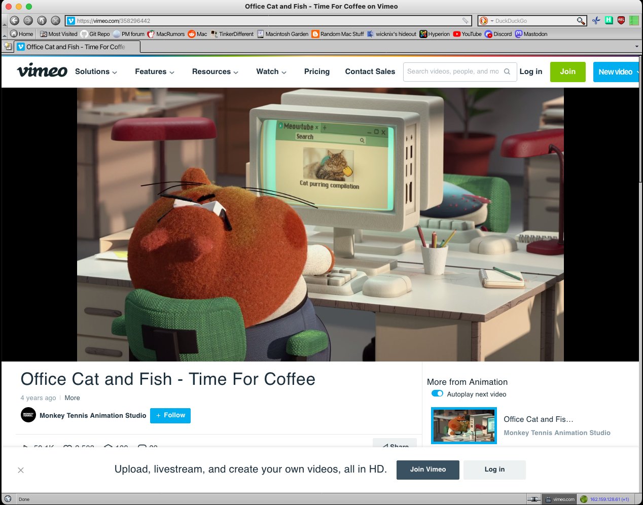 vimeo-sealion.png