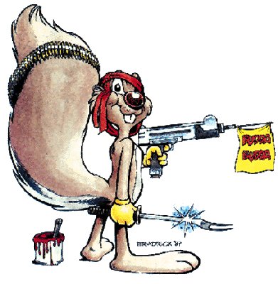 wacksqui.jpg
