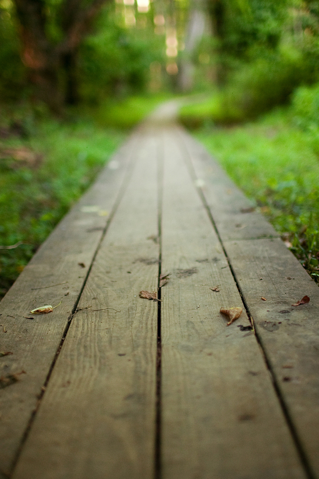 wall (24).jpg