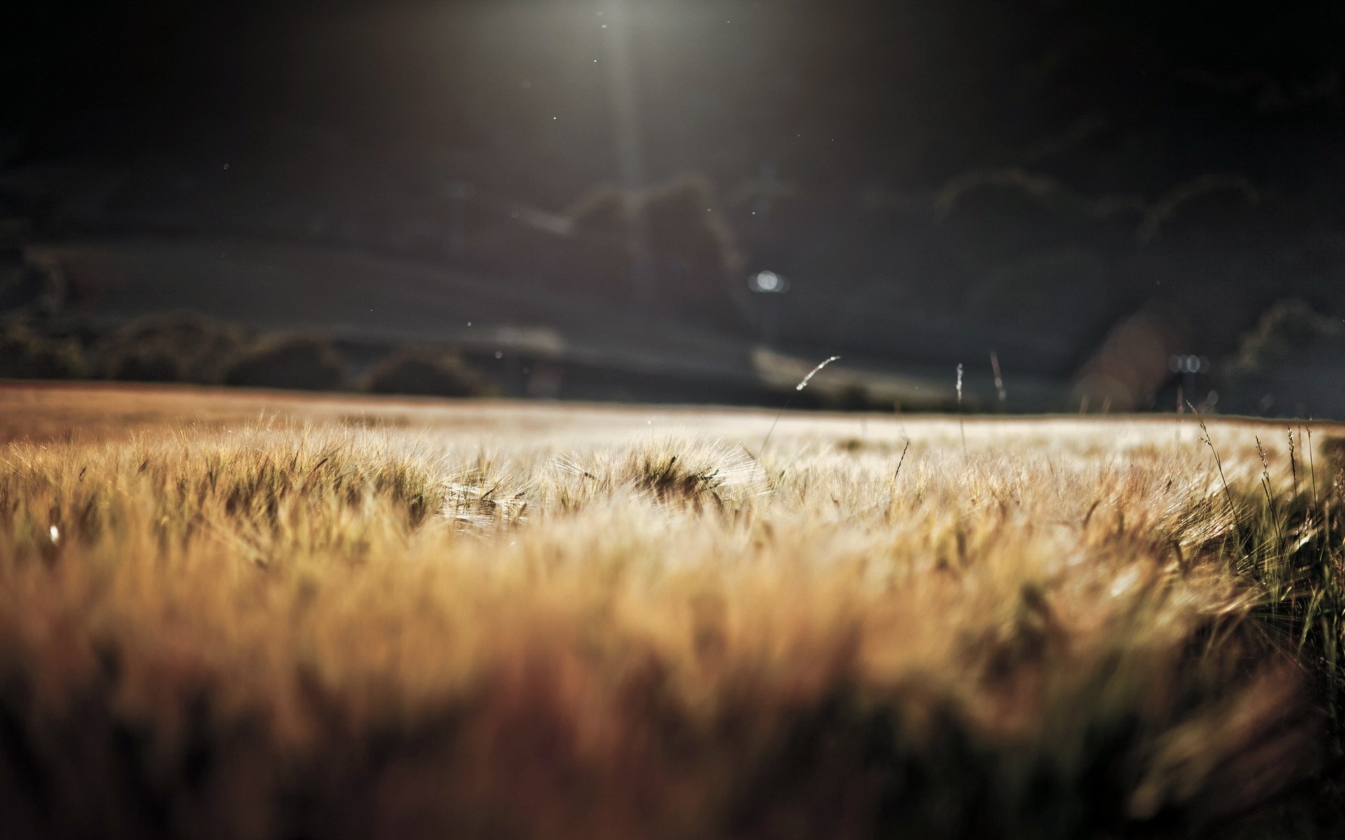 wallpaper-2988644.jpg