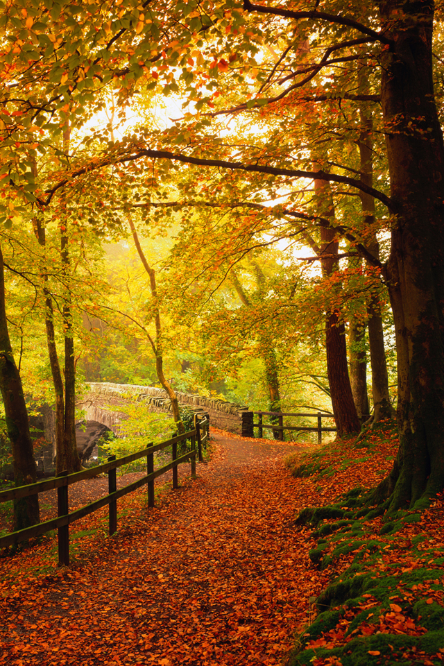 Wallpaper-Calendar-OCT-IP4-blank.jpg