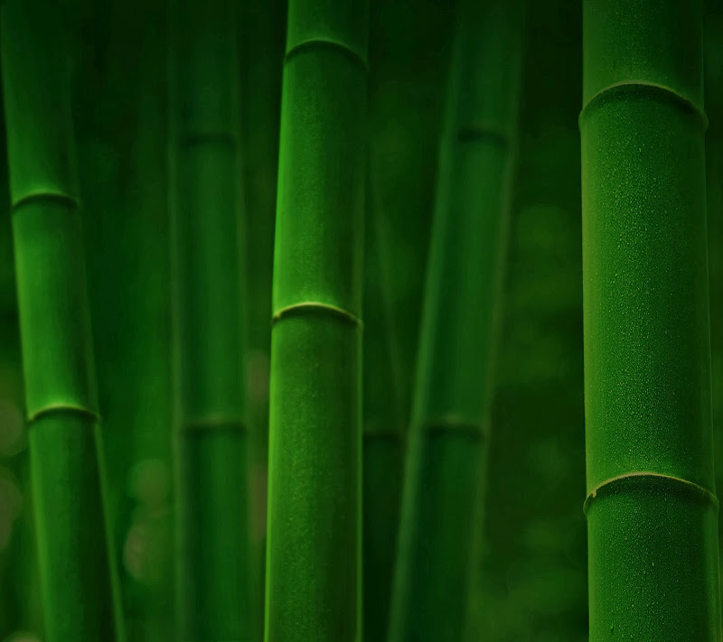 wallpaper_0001.jpg