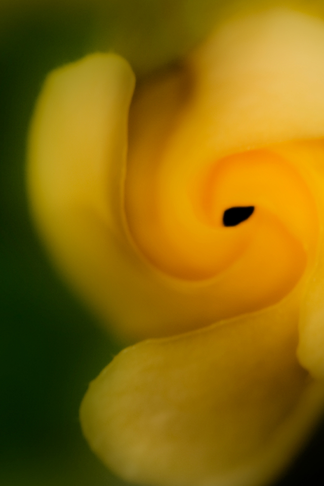 Wallpaper_0022.jpg