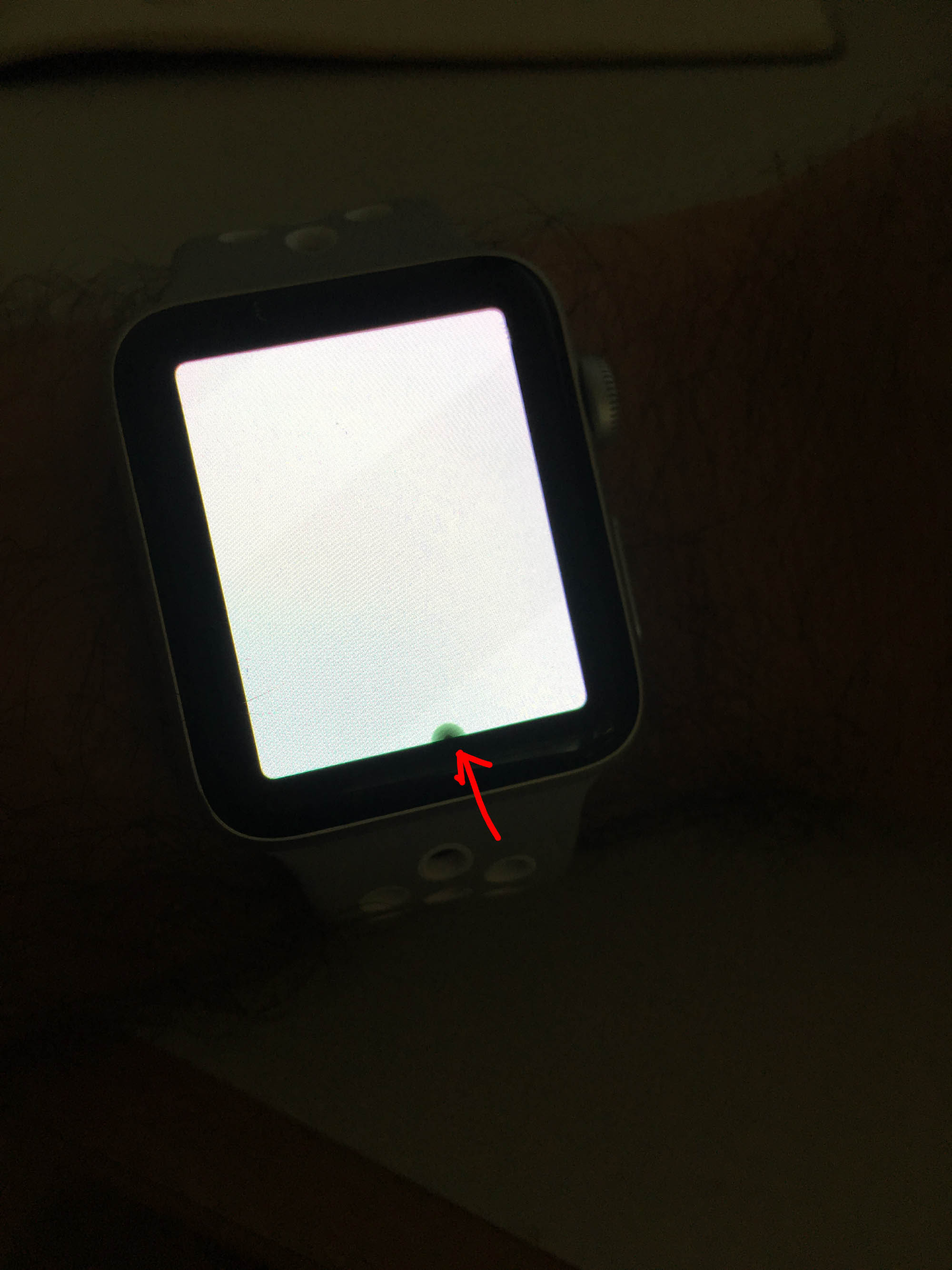 Watch.jpg