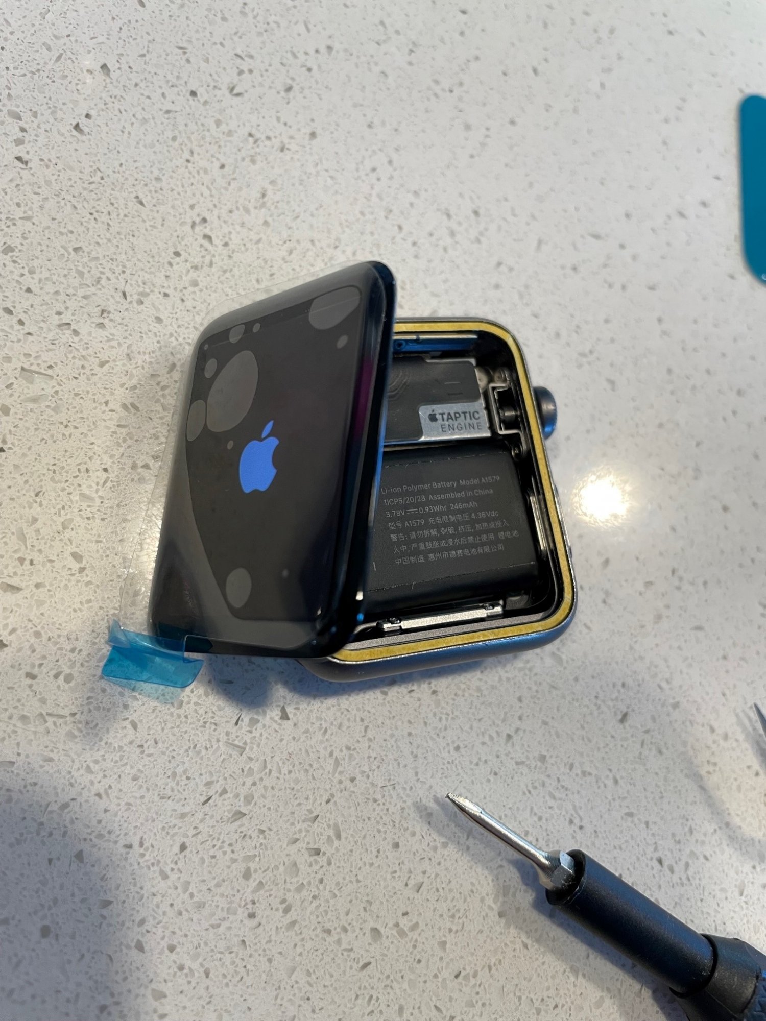 watch repair display.jpg