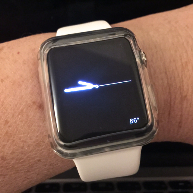 WatchCase3.jpg