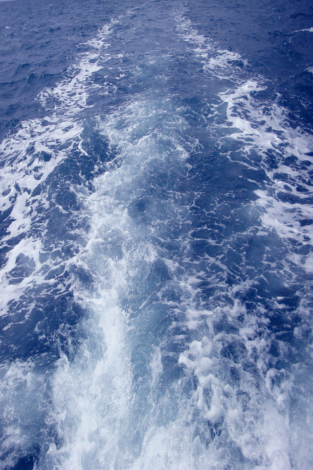 waves.jpg