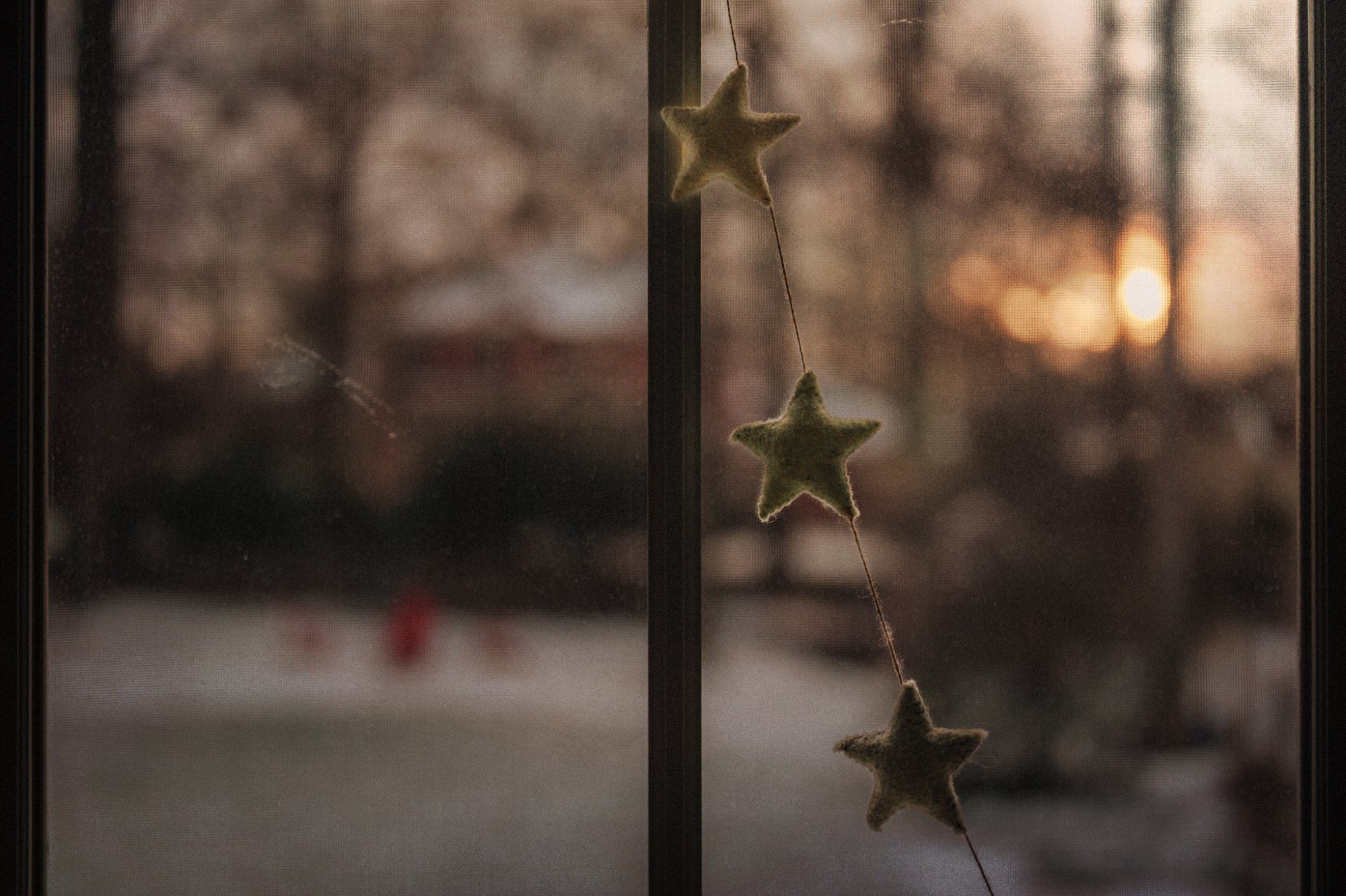 Web_December_15_2025_001.jpg