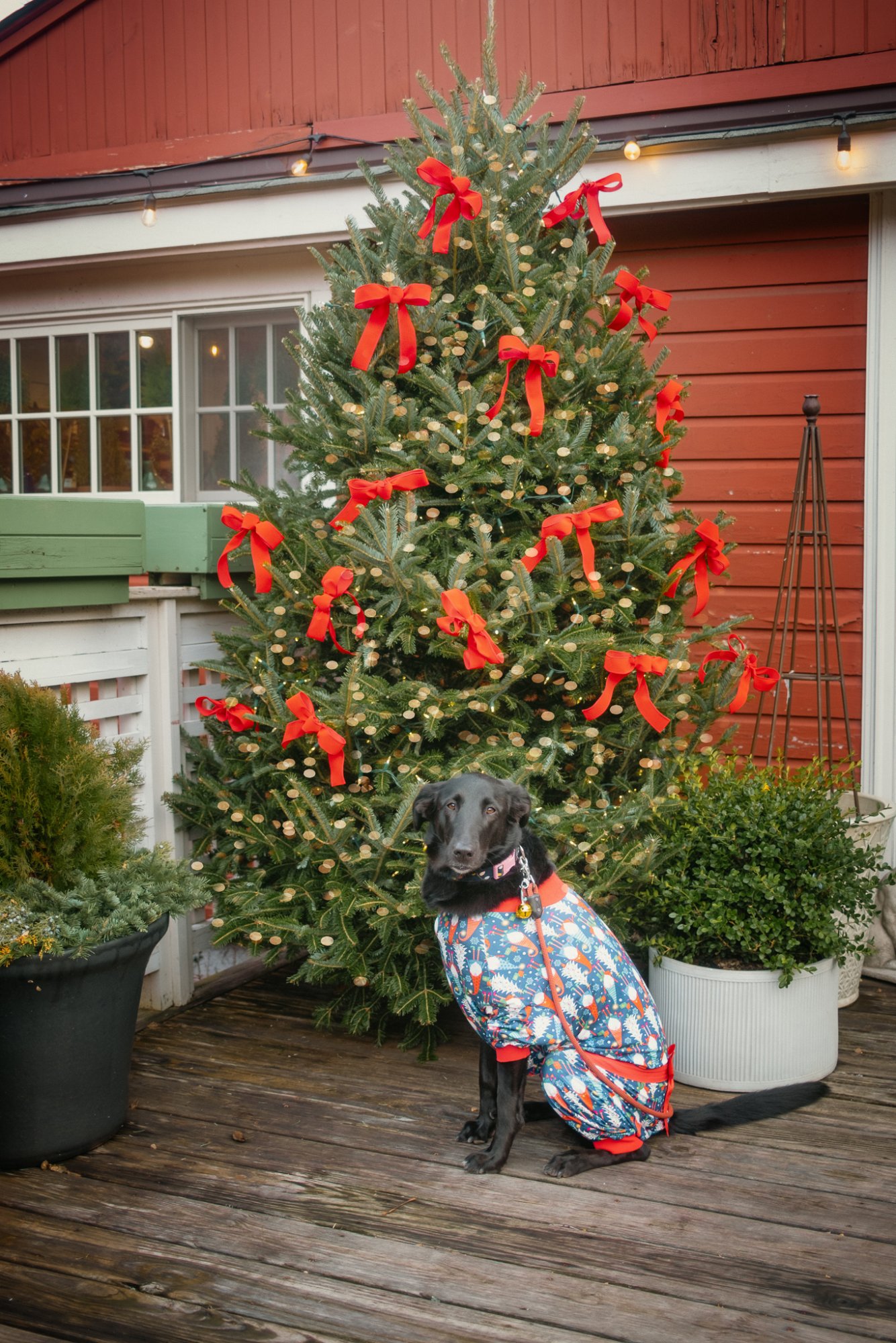 Web_December_19_2024_001.jpg