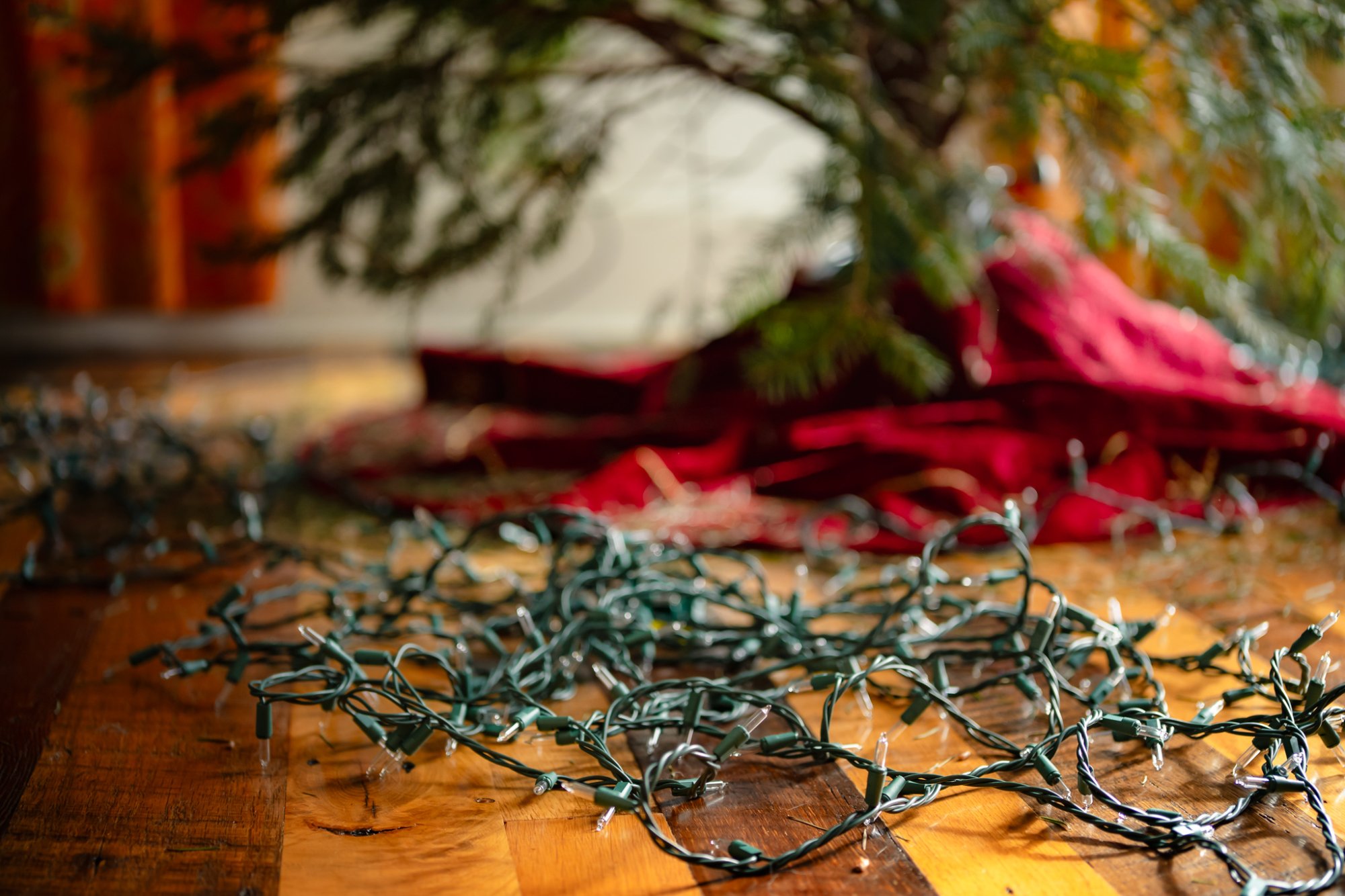 Web_December_27_2025_001.jpg