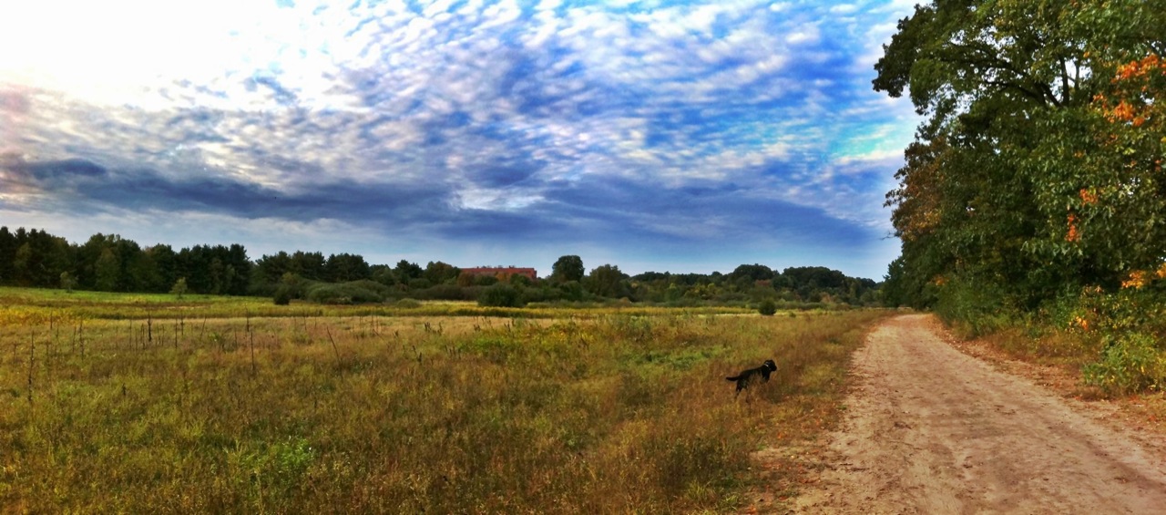 wideshot.JPG