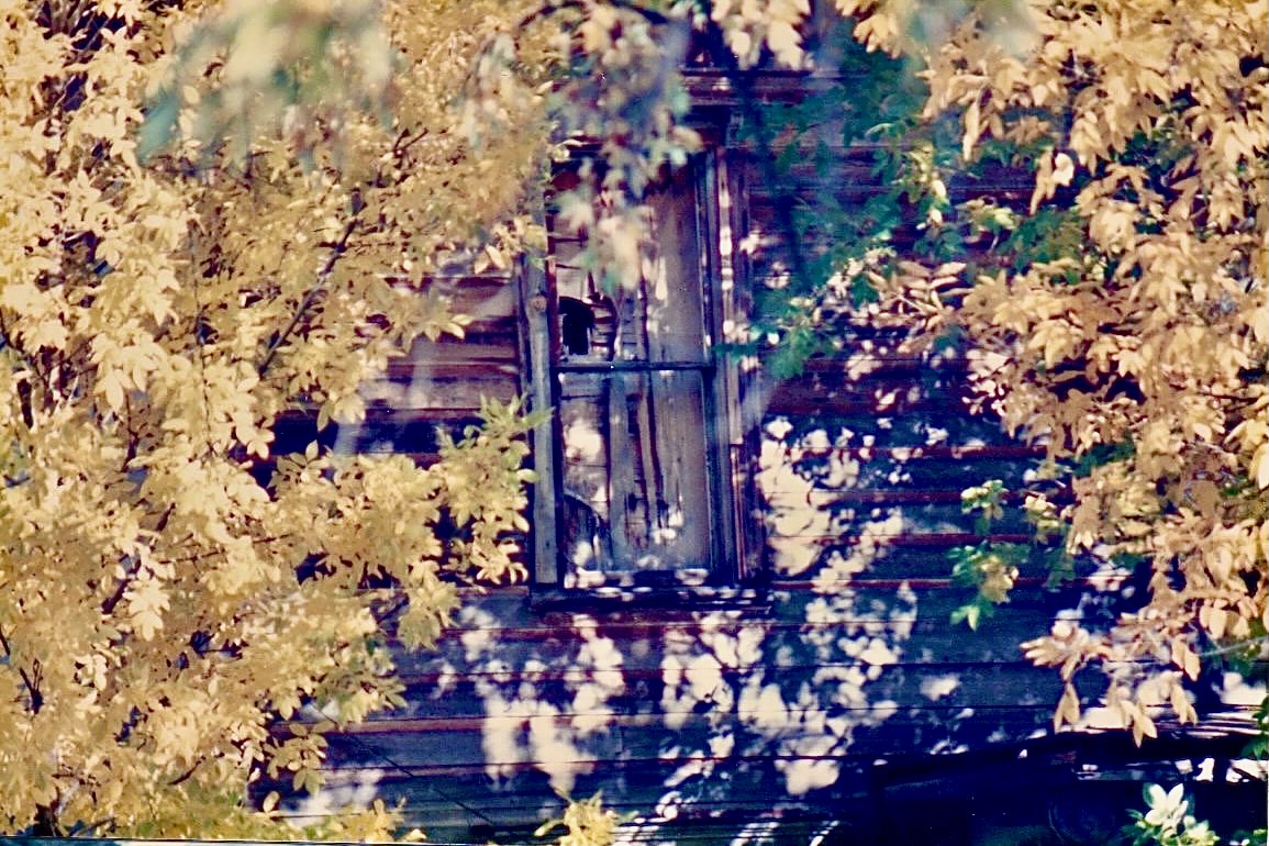 window - 1.jpeg