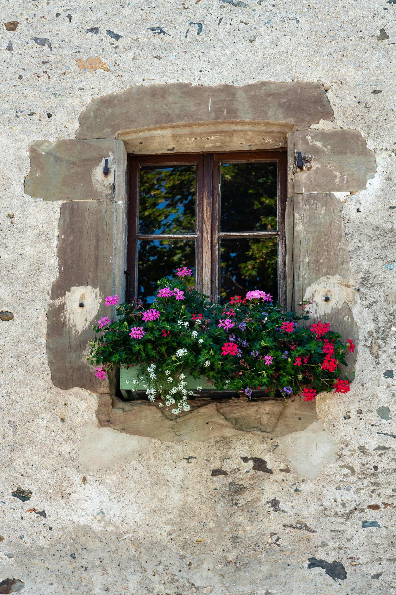 Window 2000px wide.jpg