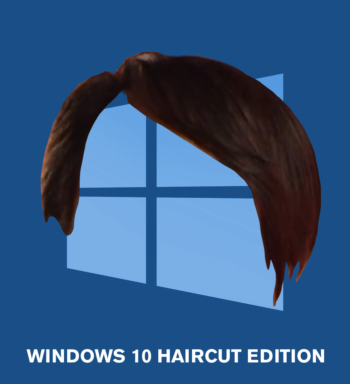 Windows.jpg