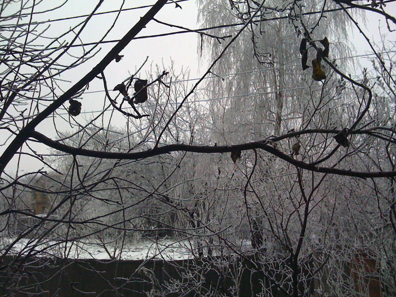 winter 002.jpg