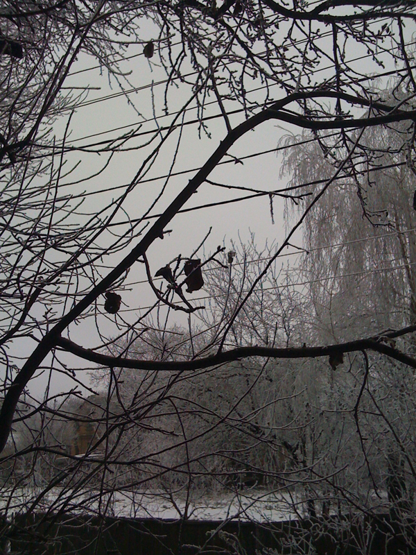 winter 005.jpg