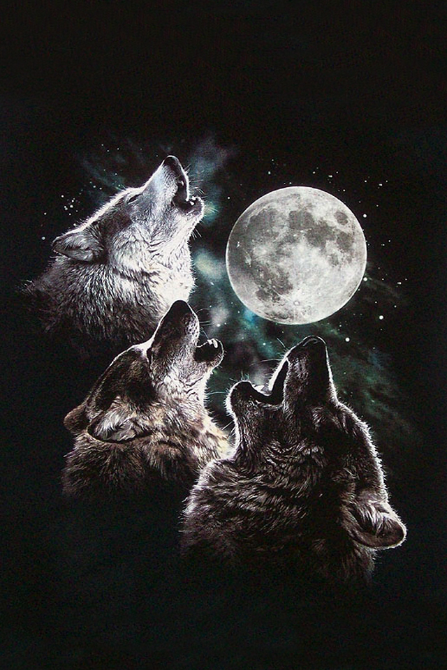 wolfbeardneckshirt.jpg