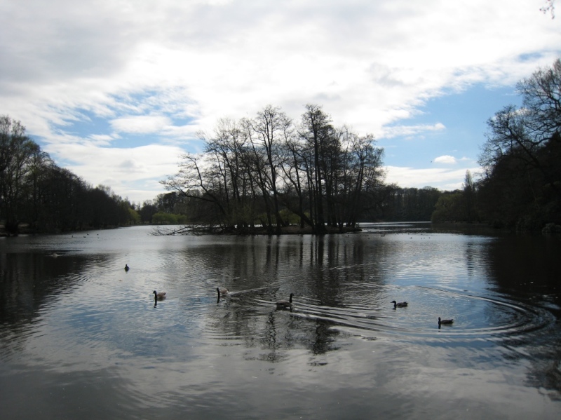 woll_park.JPG
