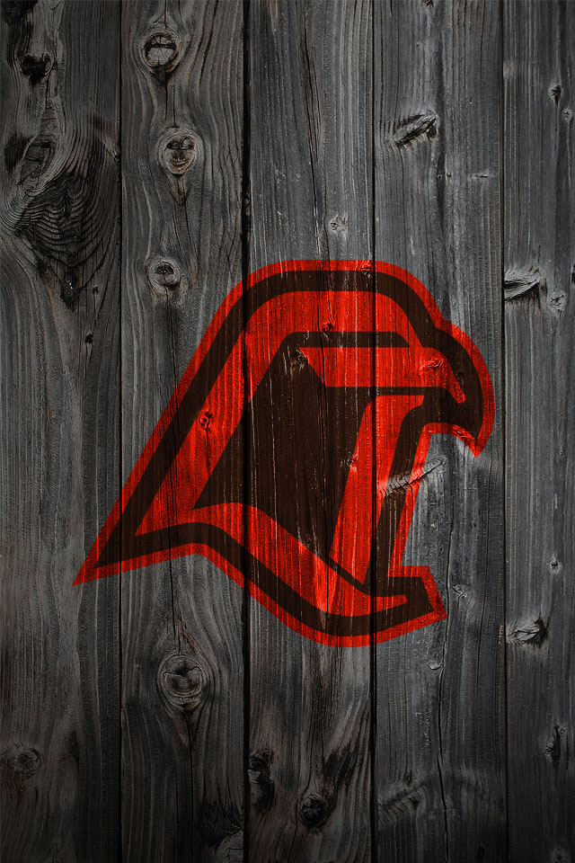 Wood_BGFalcon_Both.jpg