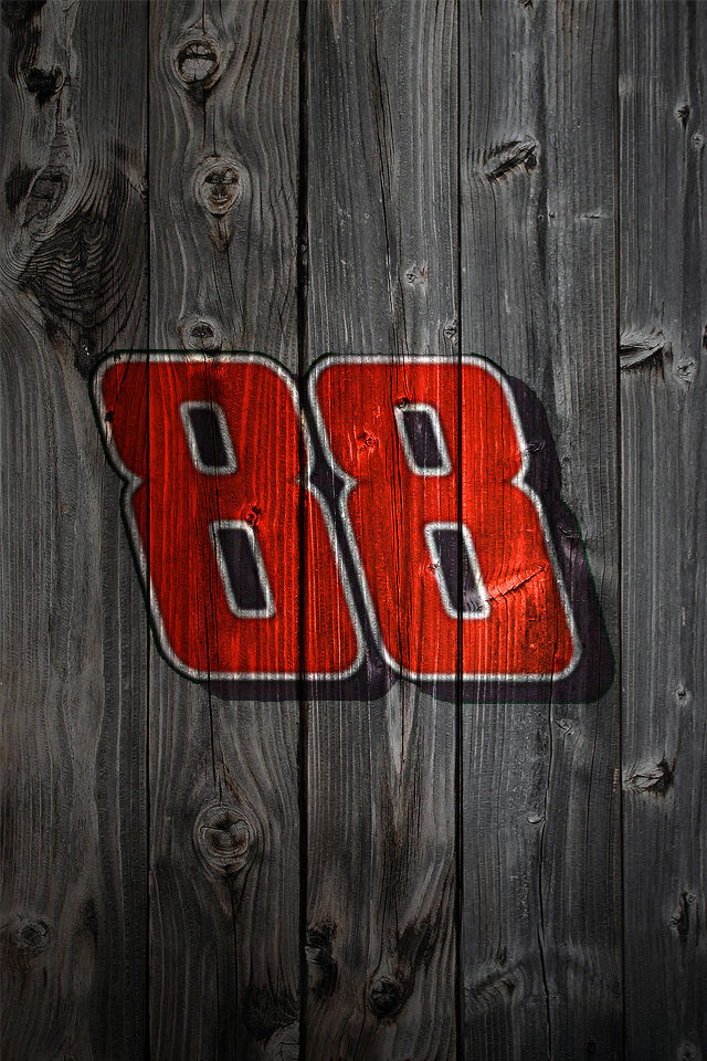 Wood_DaleEarnhardtJr.jpg